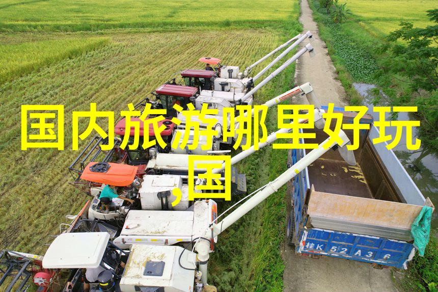 南京美食简介我在南京尝遍了这些美味你也来尝一口吧