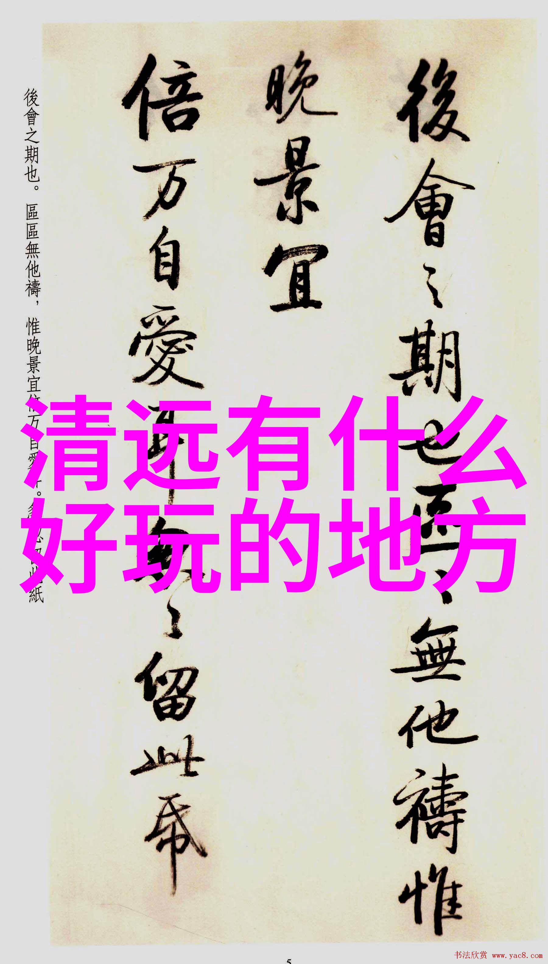 小小探险家发现世界成长在幼儿园的户外活动中