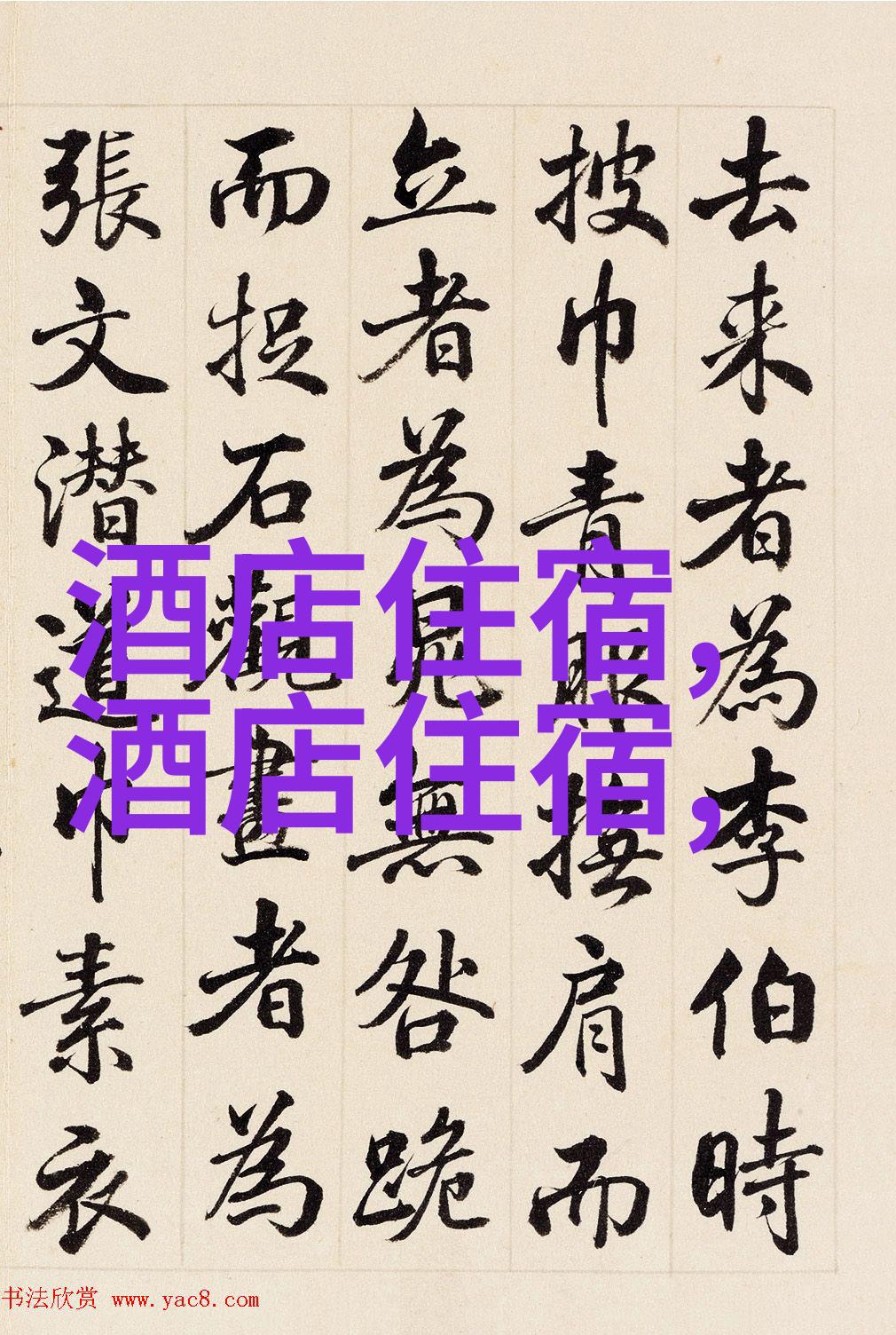户外爱好者必备野营装备选择与使用教程