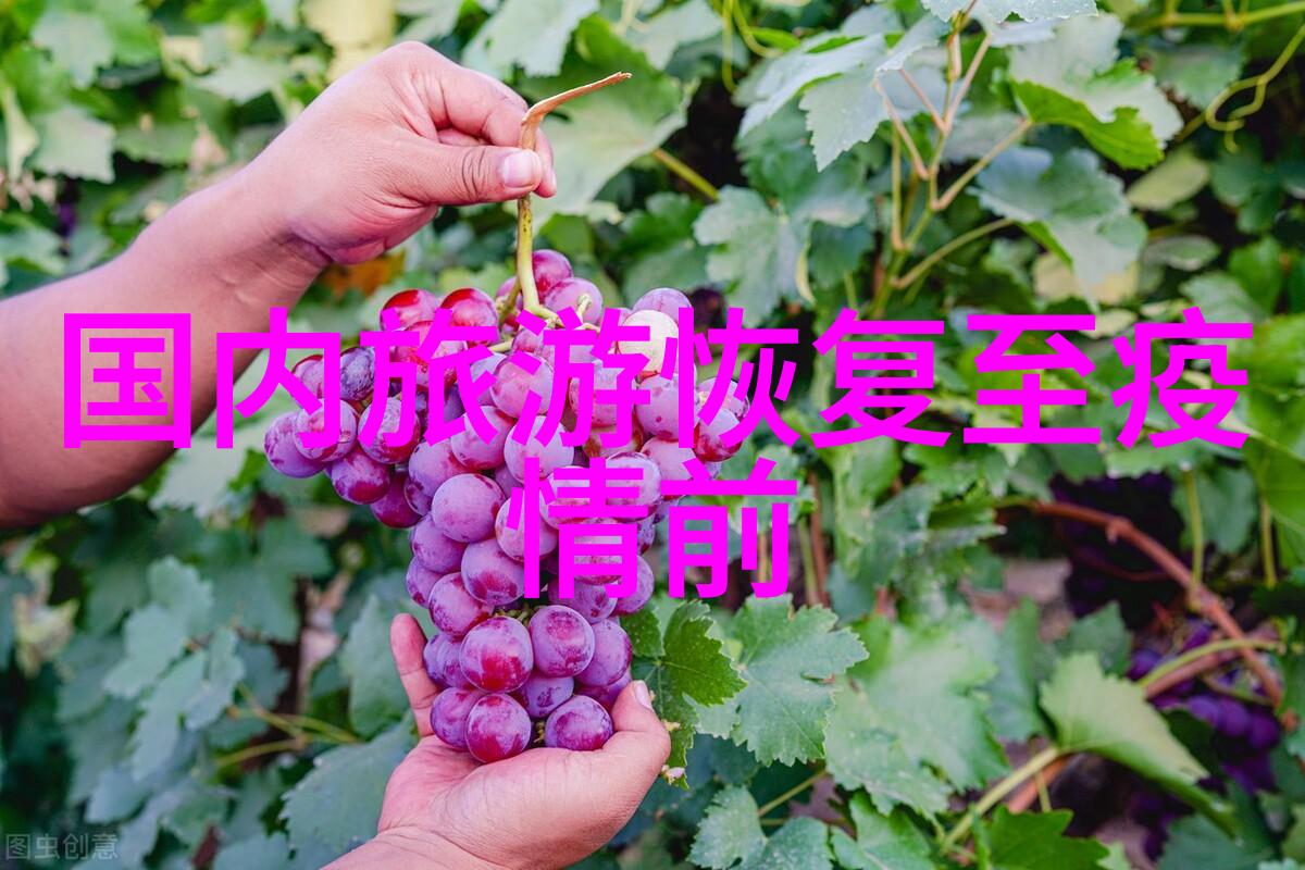 在上海冬天你知道如何穿衣吗碧桂园凤凰酒店带你去眼睛旅行体验VR服务仿佛置身于异国他乡