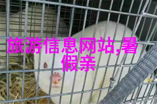 学生户外运动精彩瞬间学生活力健身自然风光背景健康生活方式展示
