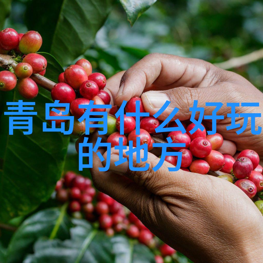 长沙周边自驾游探秘探索湘江之滨的美丽风光与文化古迹