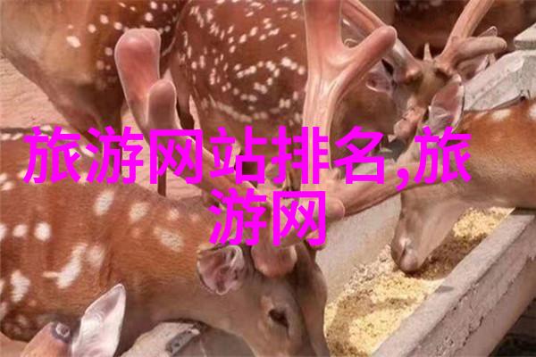 儿童游乐场规划安全互动创意