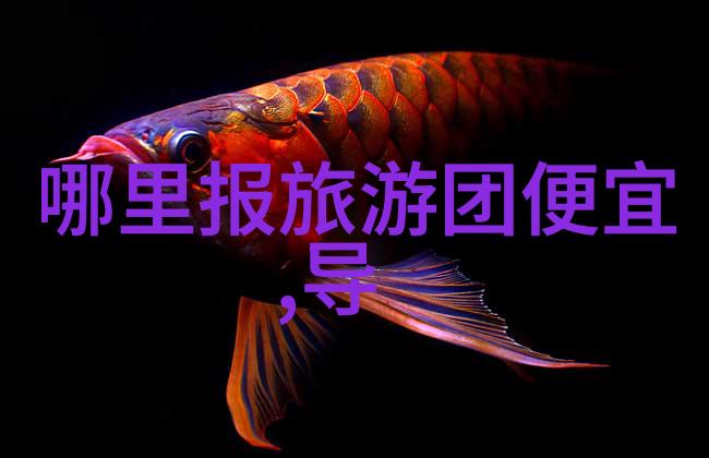 公路骑行选择合适自行车公路赛车山地车折叠自行车