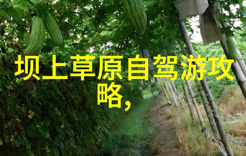 历史见证者记忆深处的三峭湖畔老宅子们