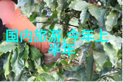 重庆旅游景点排行榜前十名之谜揭秘这些神奇地标的魅力在哪里