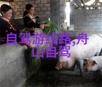 双层屏幕揭秘一面膜下电视剧的奇幻世界