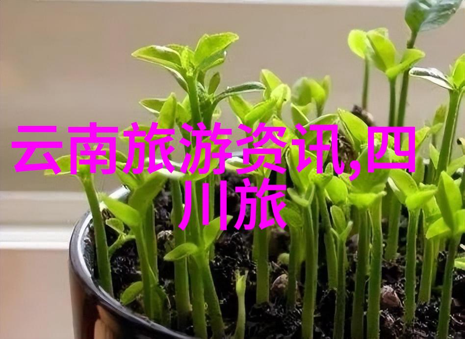粮道街美食攻略线路研究探索传统与现代融合的餐饮文化