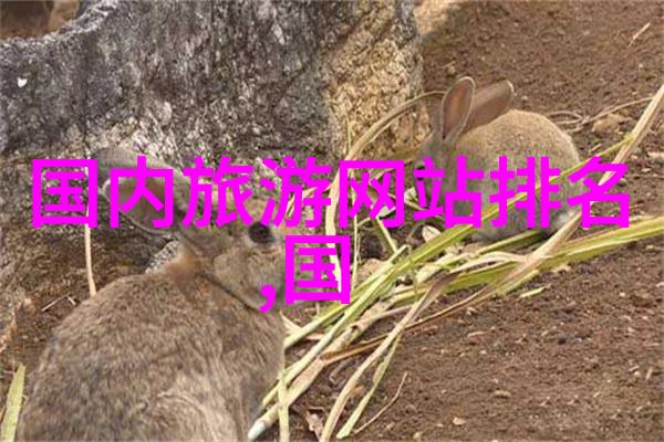 小小探险家四年级同学的夏令营日记