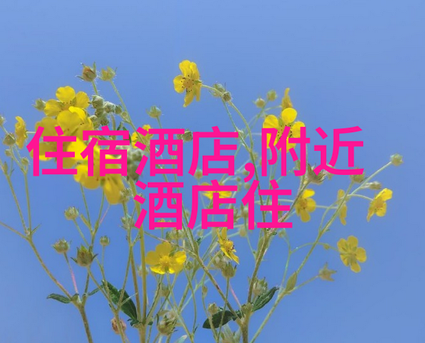 丽江古城游记揭开迷雾中的传说与风情探寻那段被岁月洗礼的历史之谜