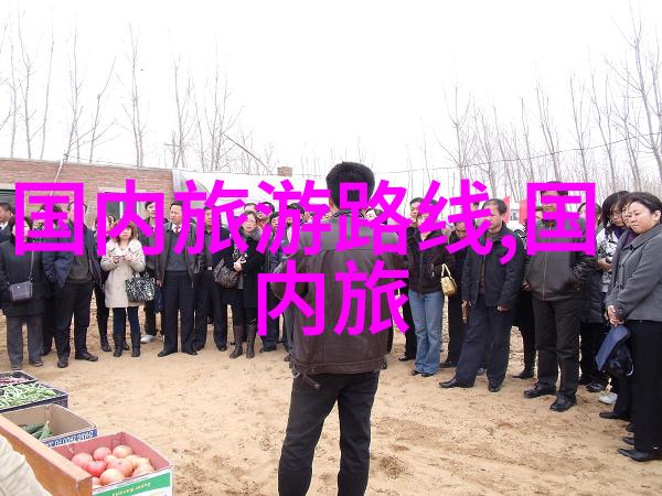 爬山游记作文800字初二作文我的山顶挑战从脚下望云端到云中见世间