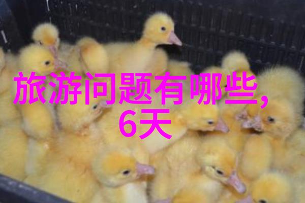 50后60后同行旅行中老年朋友团队出游