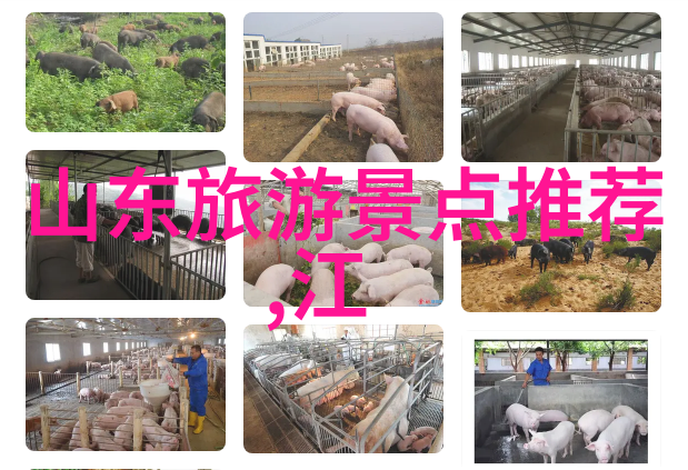 澳大利亚红土之路沙漠中的生命力