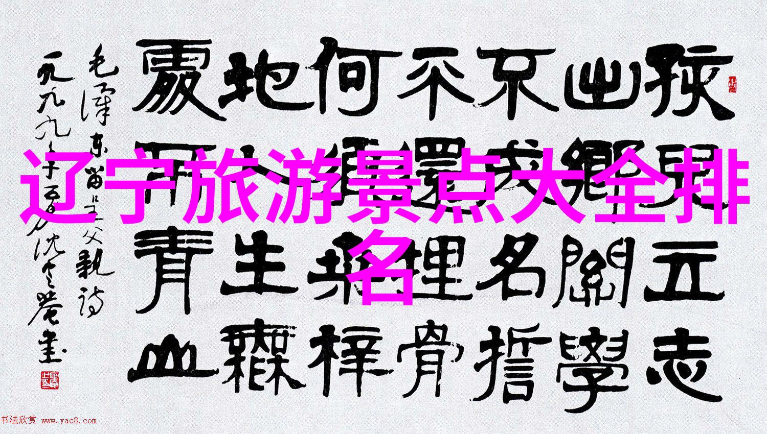 你是否准备好体验南开仨小伙骑行川藏线的冒险来看看他们是如何选择公路自行车的