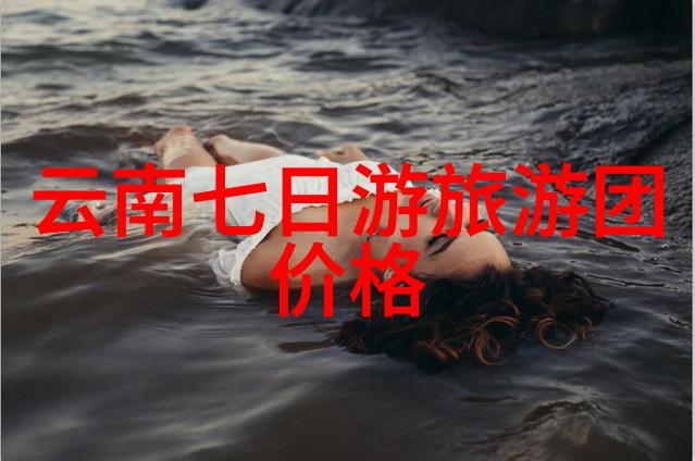 团队共鸣穿越迷雾的协同旋律