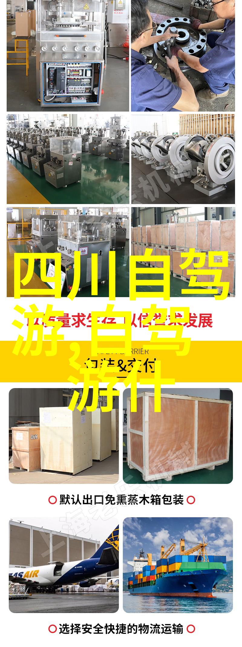 区域活动百花齐放100个生动名称的探索