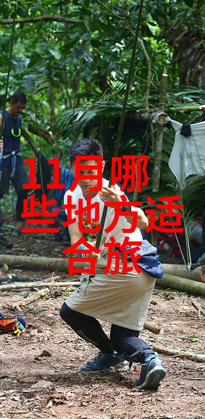游记600字优秀作文我的云南之旅从香格里拉到大理的足迹