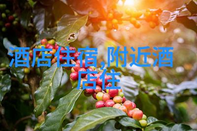 去云南旅行报团我要去云南啦快来一起玩吧