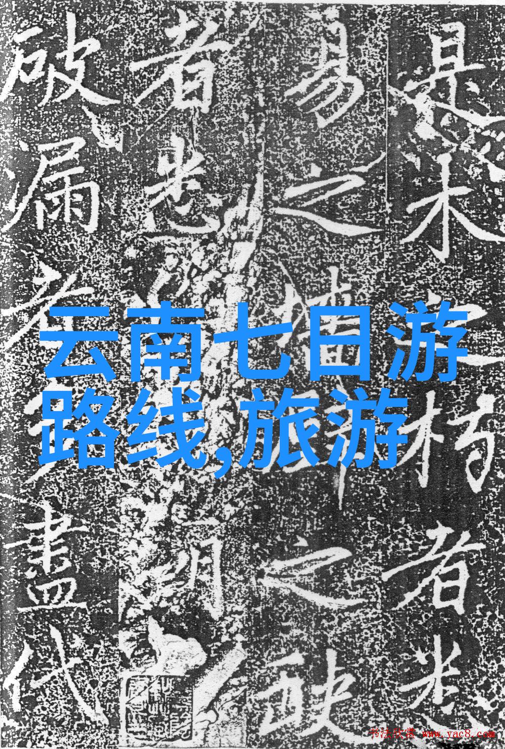 童年100个户外游戏回忆丰富的自然体验