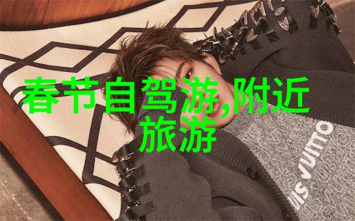 老上海的现代面纱探索传统与时尚并存的奇迹之地