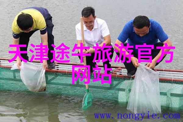喀什宝藏地揭秘新疆最美古城的旅游攻略