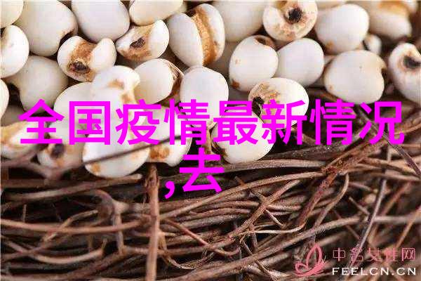 冰块朝俞追逐梦想的无畏之旅