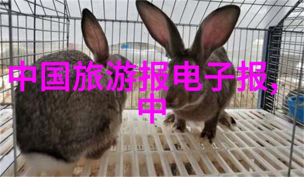 旅游报团亲自体验这趟人生旅途的快乐与挑战