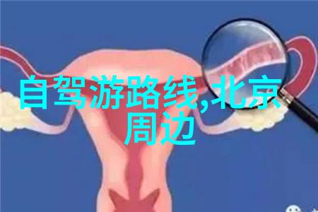 旅行故事我是如何发现19年国内旅游人数激增的秘密