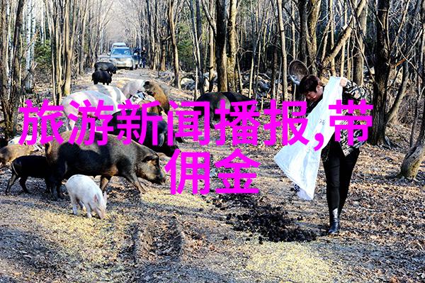 云南之冠揭秘丽江古城的迷人魅力