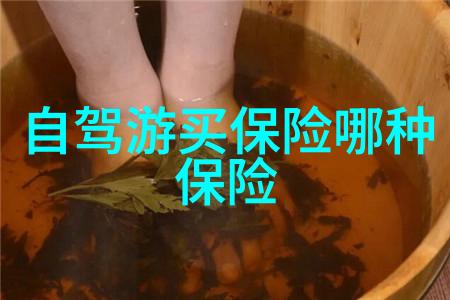 团队户外团建小游戏-野性生存探索合作的极限