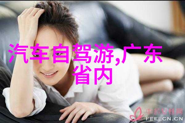 全国旅游监管平台的导游入口-守护美丽中国全国旅游监管平台导游入口的重要性与功能