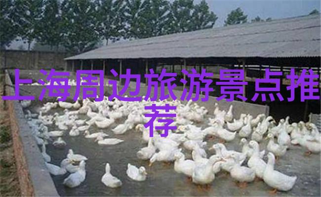 核酸酒店济南的新入住必备