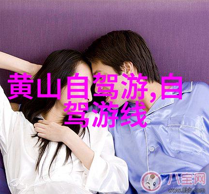 黑锅txt揭秘网络上那些隐匿的信息黑洞