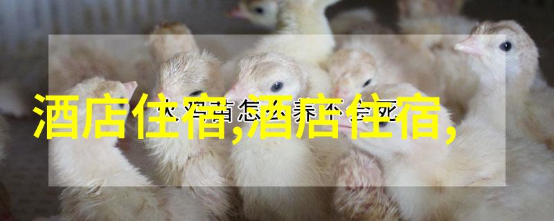 各地特色美食小吃探索中国美食的丰富多彩