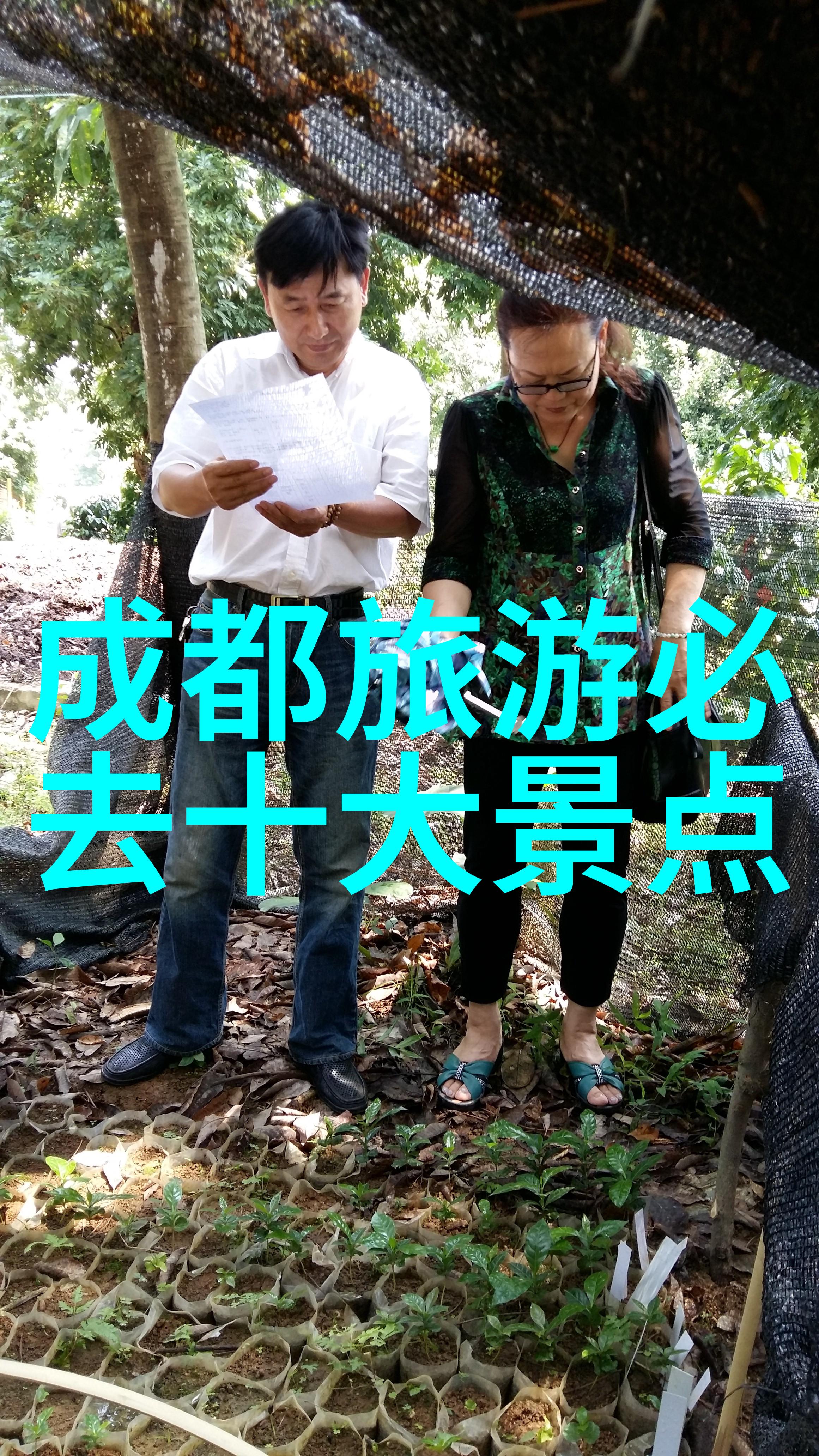内蒙自驾游 - 草原之旅探索内蒙古的美丽与魅力