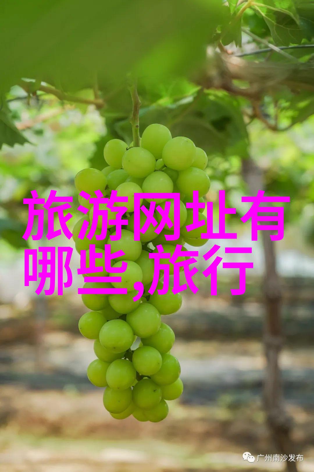 北京自由行超详细攻略揭秘故宫天安门广场与颐和园的秘密之地