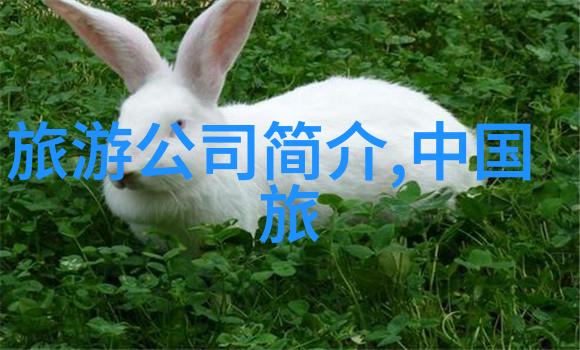 成都市郊外一日游攻略寻找周边的自然景观