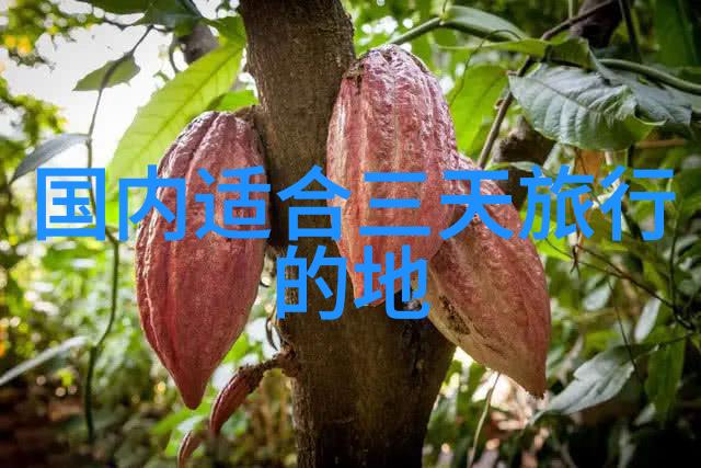 远方的足迹旅途中的迷雾与光芒