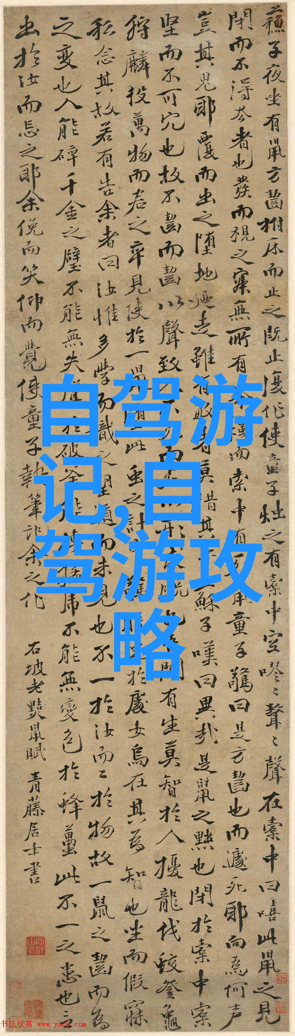 云南之旅寻觅青翠的秘密路径