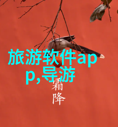 出国必备手续护照申请签证办理行李打包航空预订