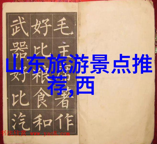 什么是上海人常说的老字号餐馆以及它们在南京路上的代表性菜式有哪些