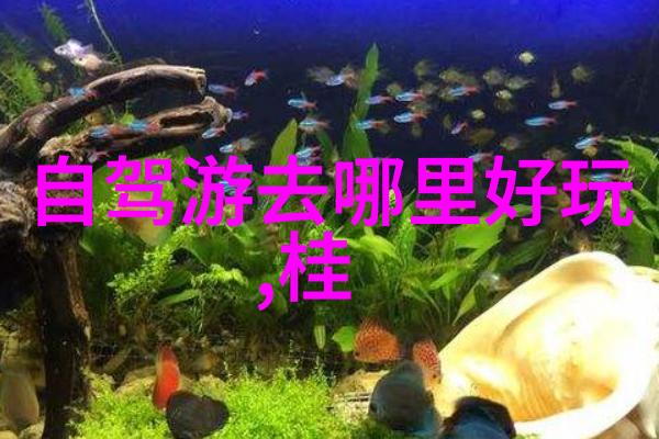 永川野生动物园未知世界的探秘之旅
