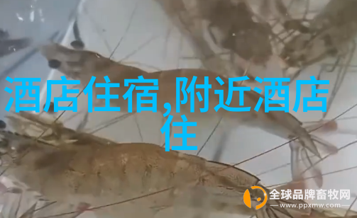 武汉之美探索黄鹤楼的历史与魅力