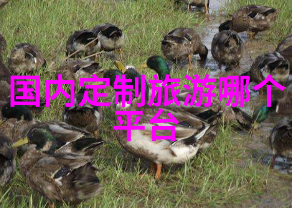骑行新手必备物品打造完美出发清单