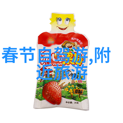 上海奇迹探索城市的历史与现代魅力