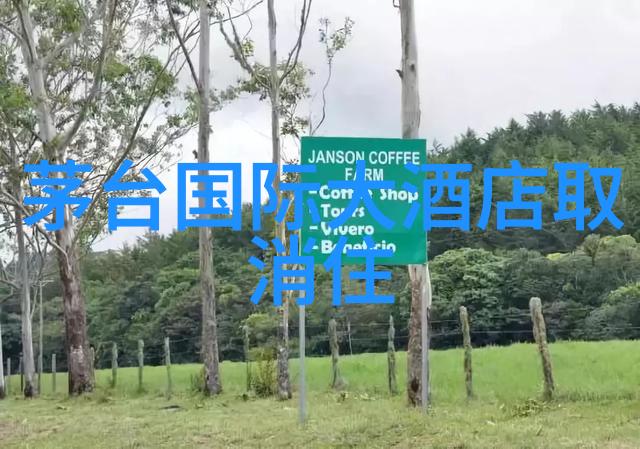 在寻找住宿的时候有没有什么特定的设施或服务是必须要有的比如健身房SPA儿童俱乐部等