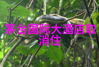 主题-探秘中国最好玩的旅游城市激情四射的奇迹之都