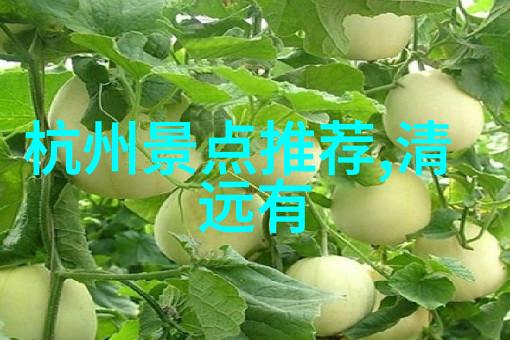 远方的呼唤穿越时空的旅程