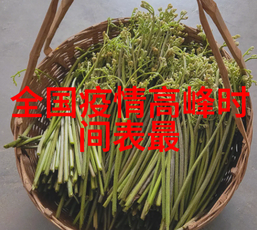 丽江古城游记追忆昔日风华