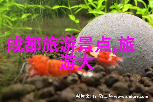 春天里的冬日奇迹寻找那些在寒冷中保持温暖的地方